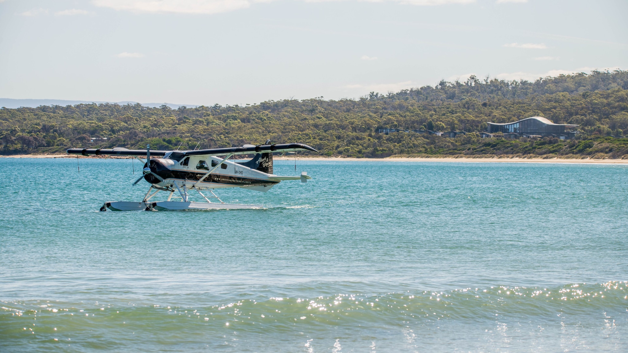 Saffire_2019_0061