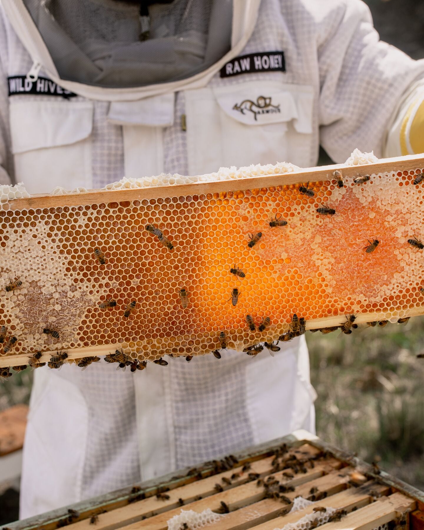 Bee Keeping 052