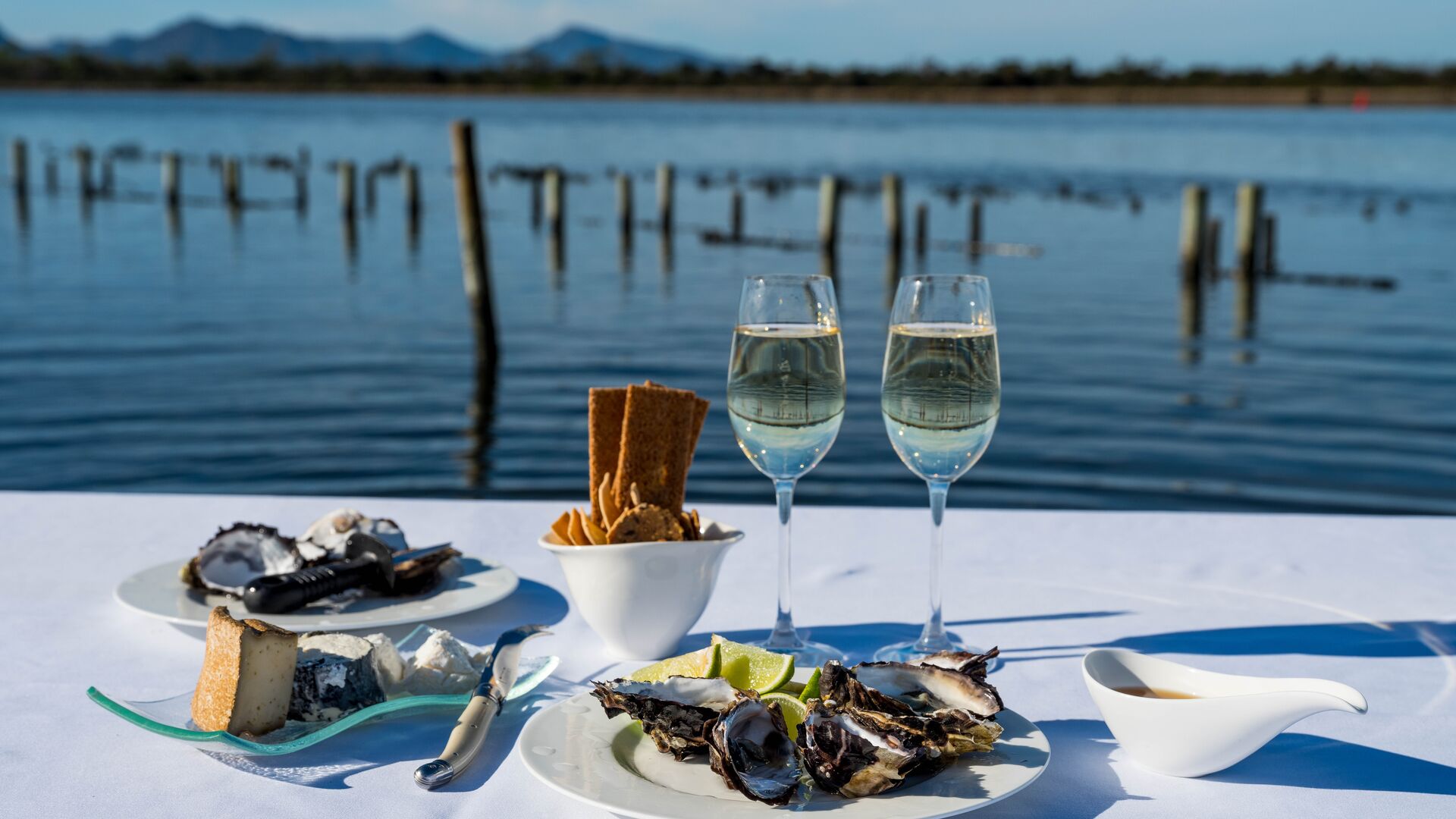 Oyster Farm 03